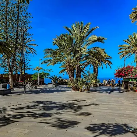 Terraza Con Vistas Al Teide 2 *